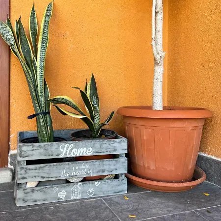 At My House بيت ضيافة *